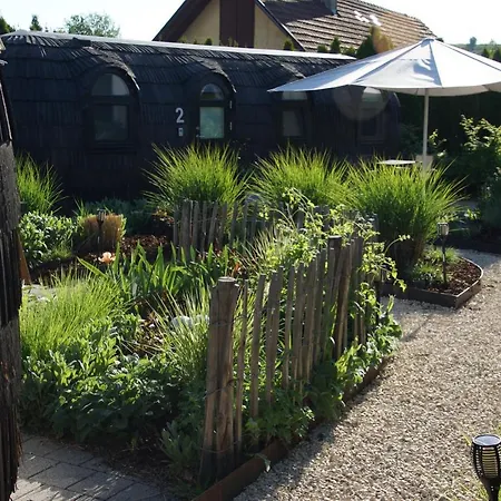 Freches Wohnen Igluhuts